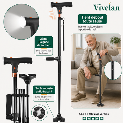 La canne d'appui Vivelan