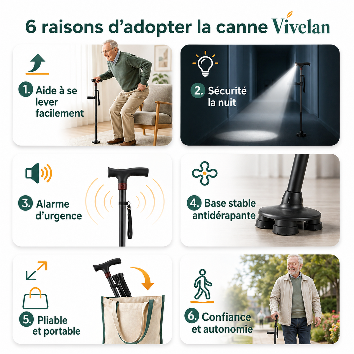 La canne d'appui Vivelan