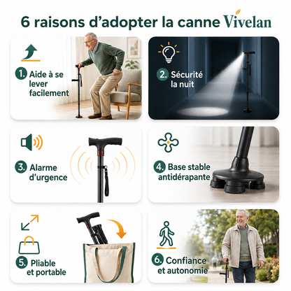La canne d'appui Vivelan
