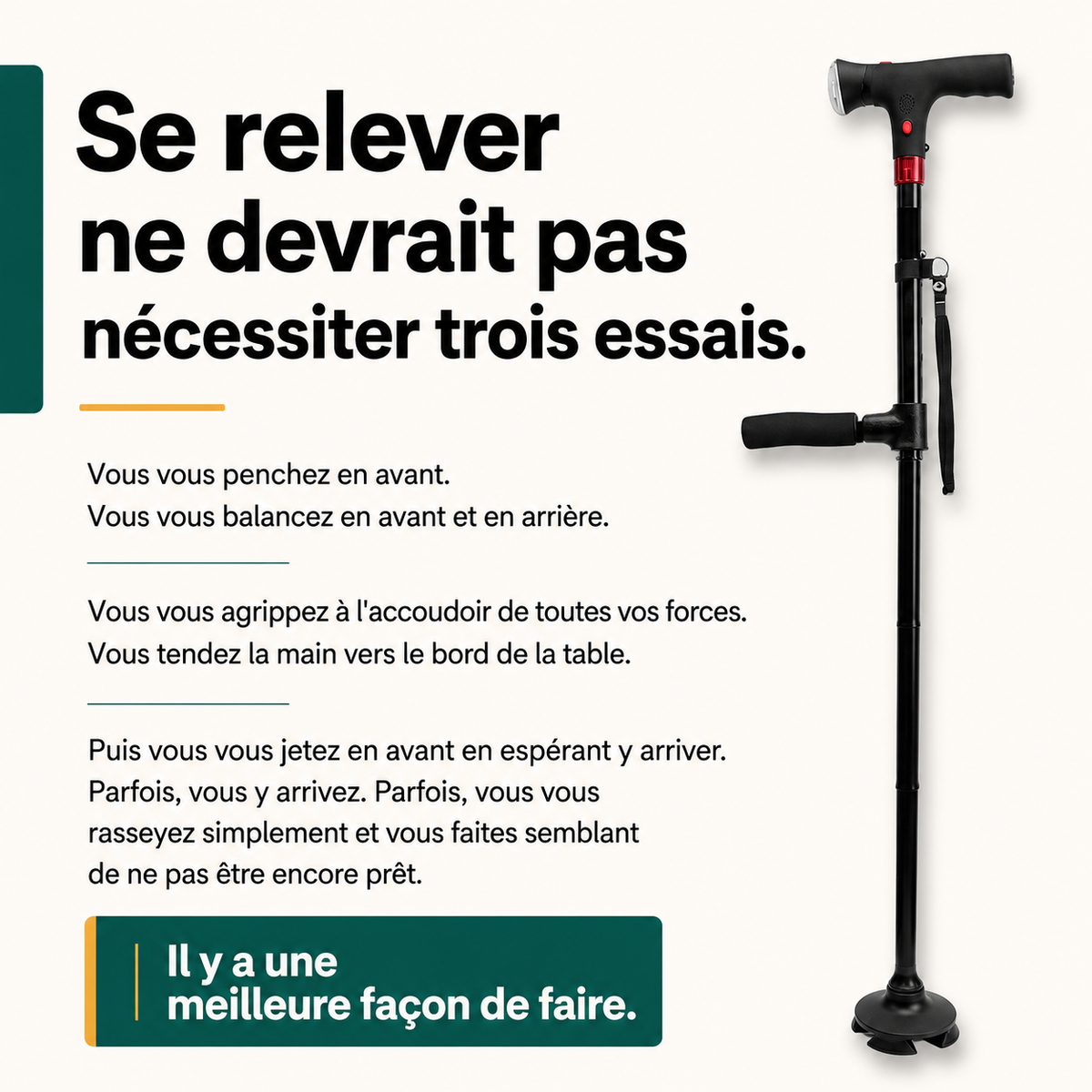 La canne d'appui Vivelan