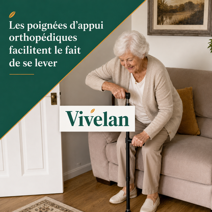 La canne d'appui Vivelan
