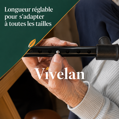 La canne d'appui Vivelan