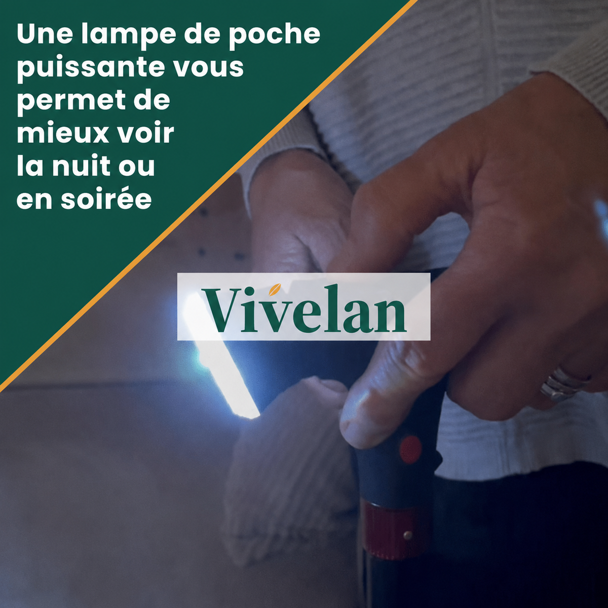 La canne d'appui Vivelan