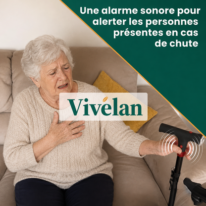 La canne d'appui Vivelan