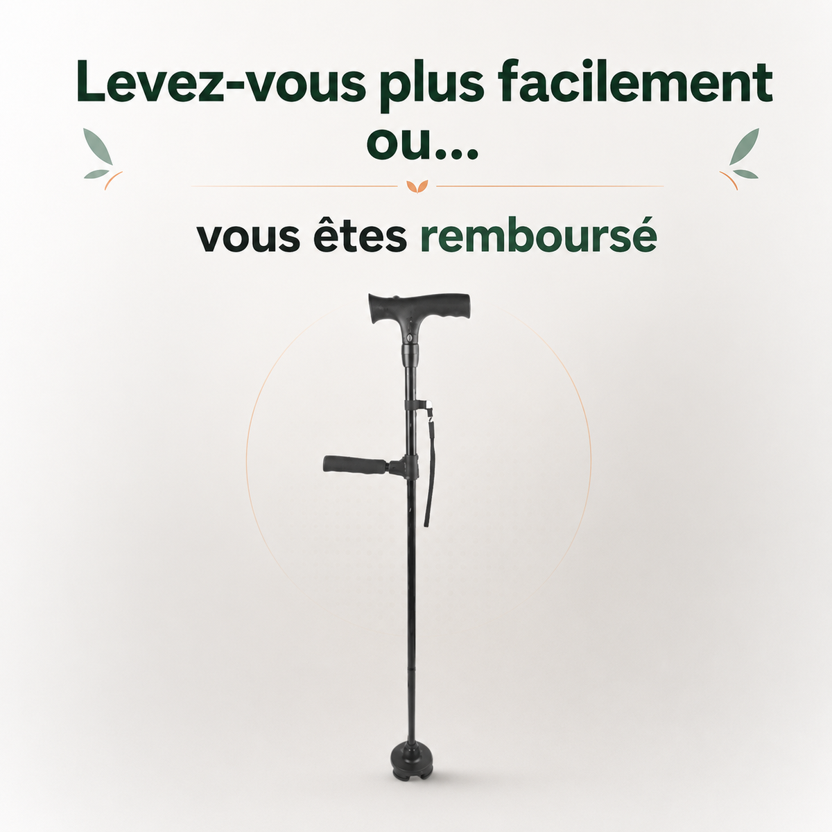 La canne d'appui Vivelan
