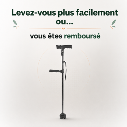 La canne d'appui Vivelan
