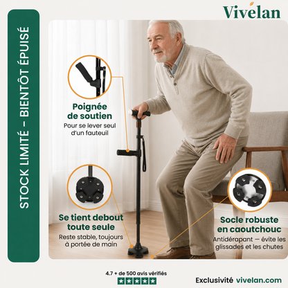 La canne d'appui Vivelan